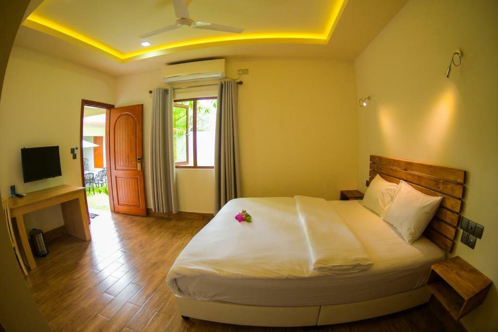 Tiger Shark Residence & Dive Fuvahmulah Dış mekan fotoğraf
